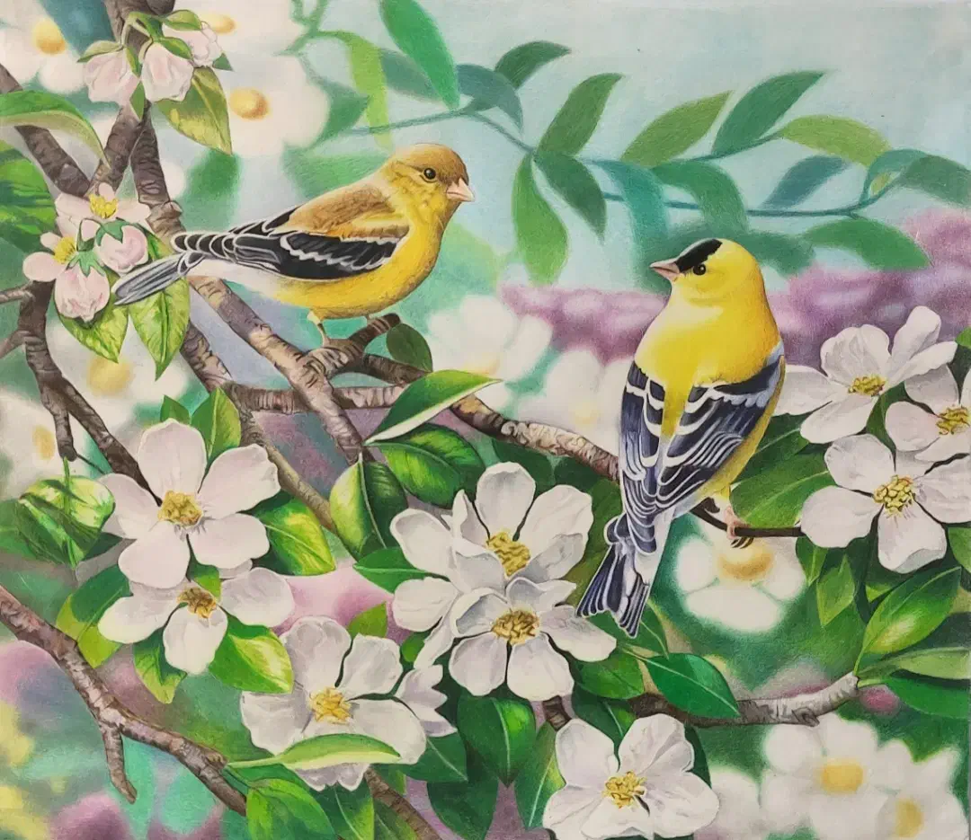 طراحی چهره سیاه قلم و مدادرنگی|تابلو، نقاشی، عکس|مرودشت, ابوذر جنوبی|دیوار