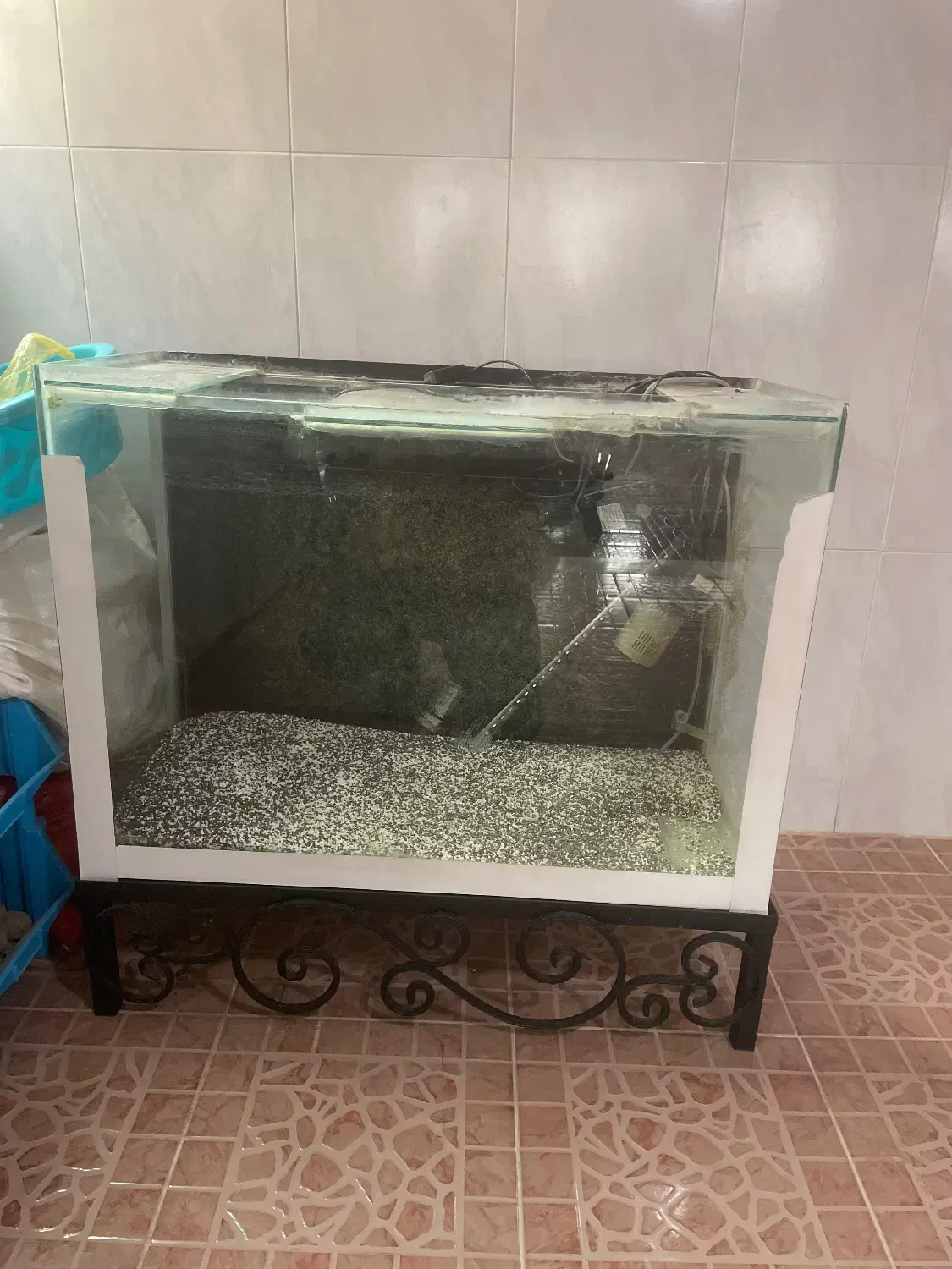 آکواریوم ماهی بزرگ و جا دار|ماهی|بروجن, |دیوار