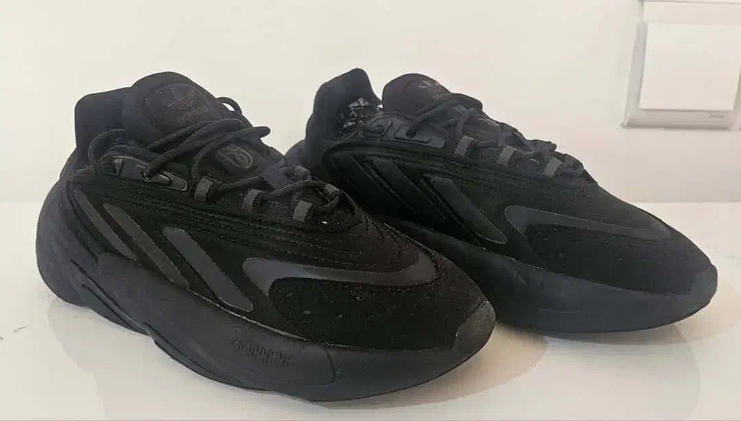 کتونی آدیداس|کیف، کفش، کمربند|شیراز, آزادی|دیوار