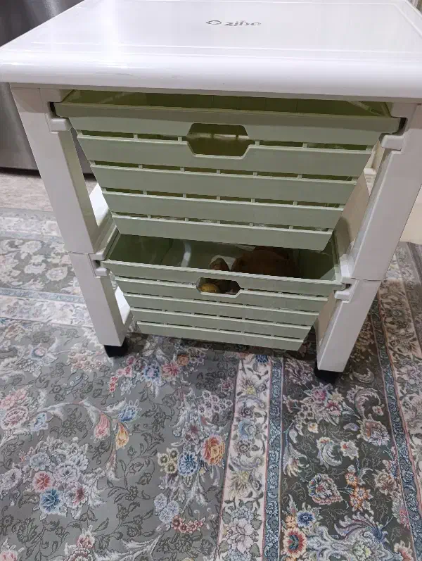 جا پیازی|ظروف نگهدارنده، پلاستیکی، یک‌بارمصرف|زنجان, |دیوار