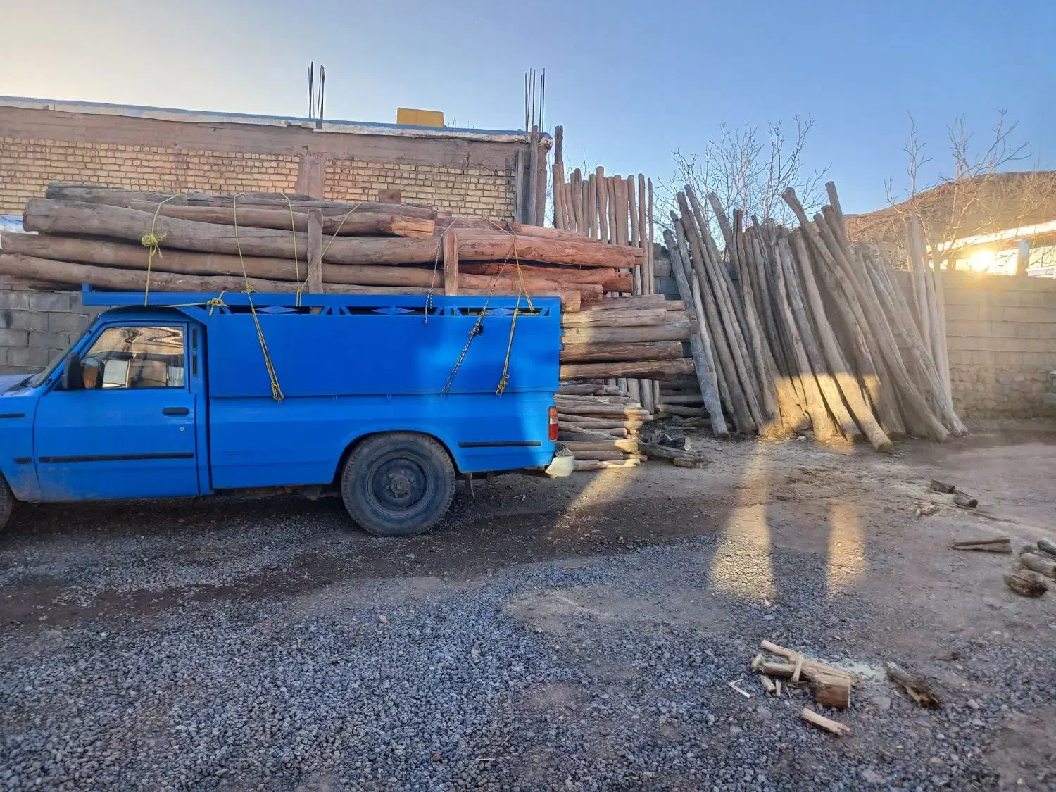 خریدار چوب درختان و چوب های سقفی|خدمات باغبانی و درختکاری|لردگان, |دیوار