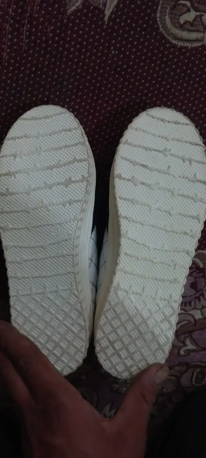 کفش اسپرت  زنانه ودخترانه|کیف، کفش، کمربند|شهرضا, |دیوار