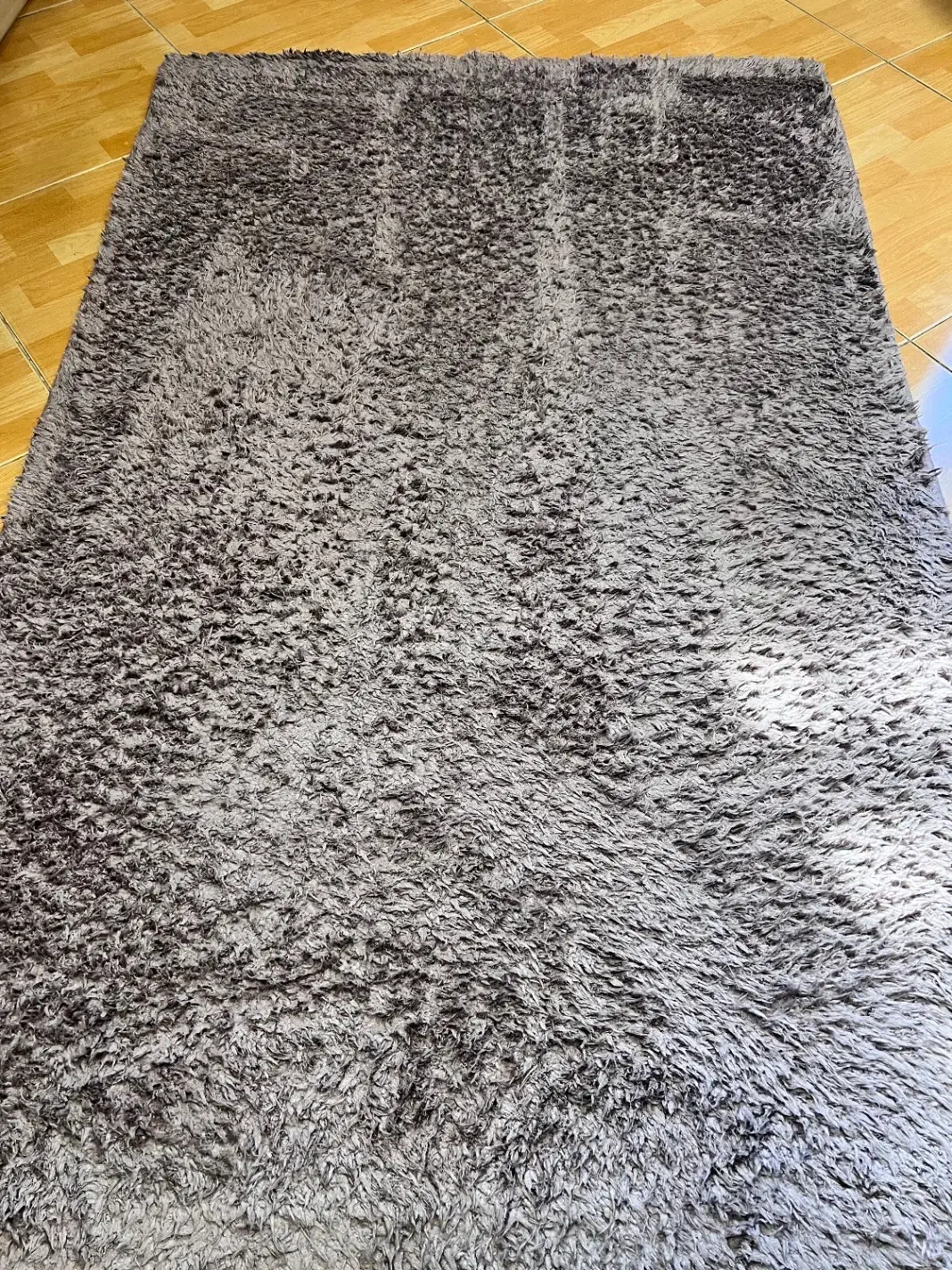 قالیچه|فرش|بندر انزلی, متروپل|دیوار