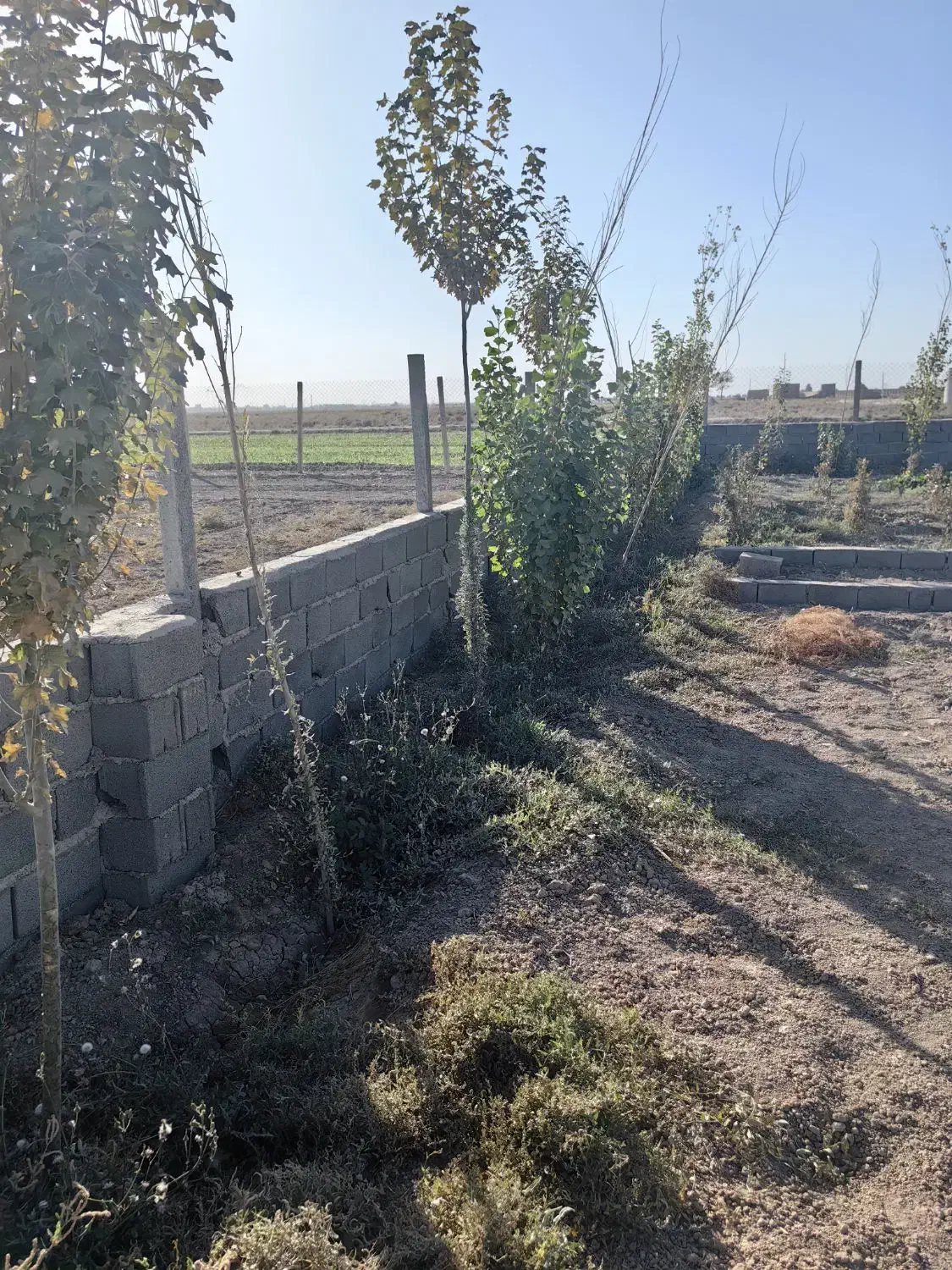 زمین پیشوا|فروش زمین و ملک کلنگی|شریف‌آباد, |دیوار