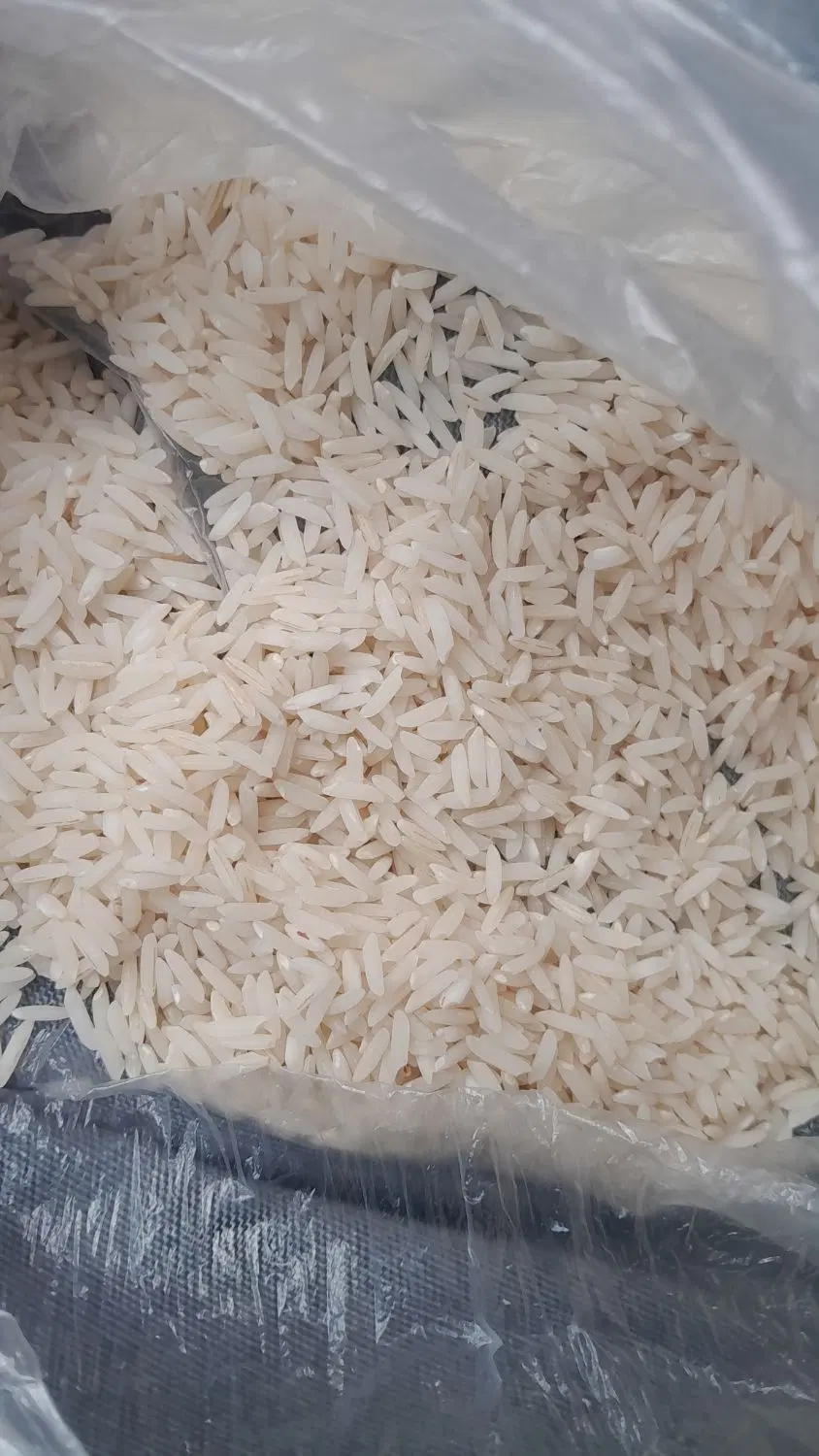 برنج|خوردنی و آشامیدنی|تالش, طولارود|دیوار