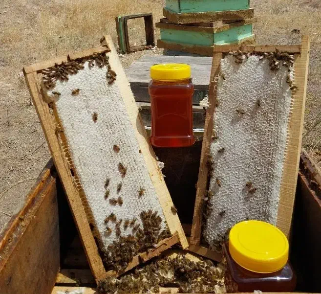 عسل چهل گیاه اردبیل|خوردنی و آشامیدنی|اهواز, امانیه|دیوار