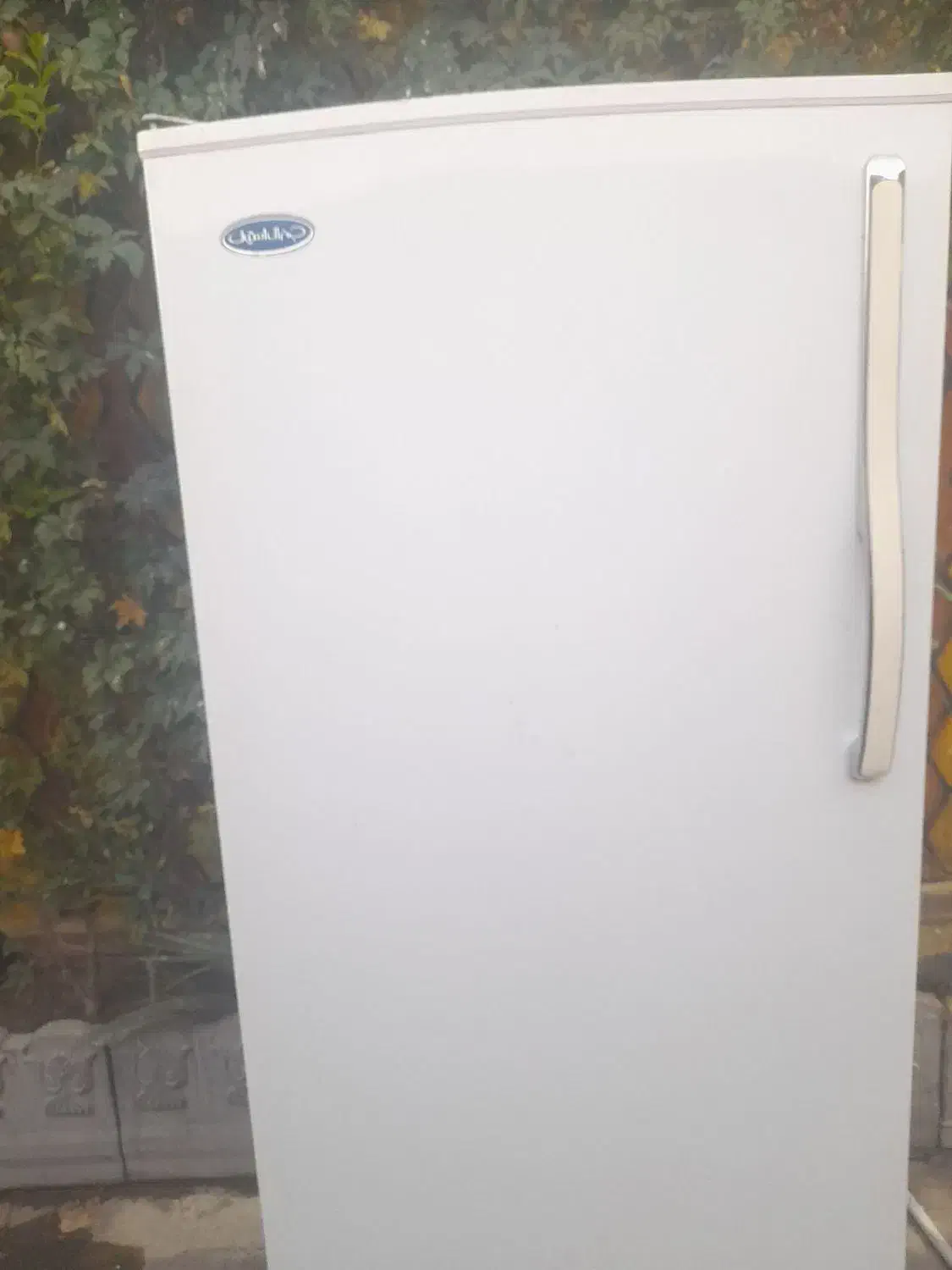 فریزر|یخچال و فریزر|راور, |دیوار