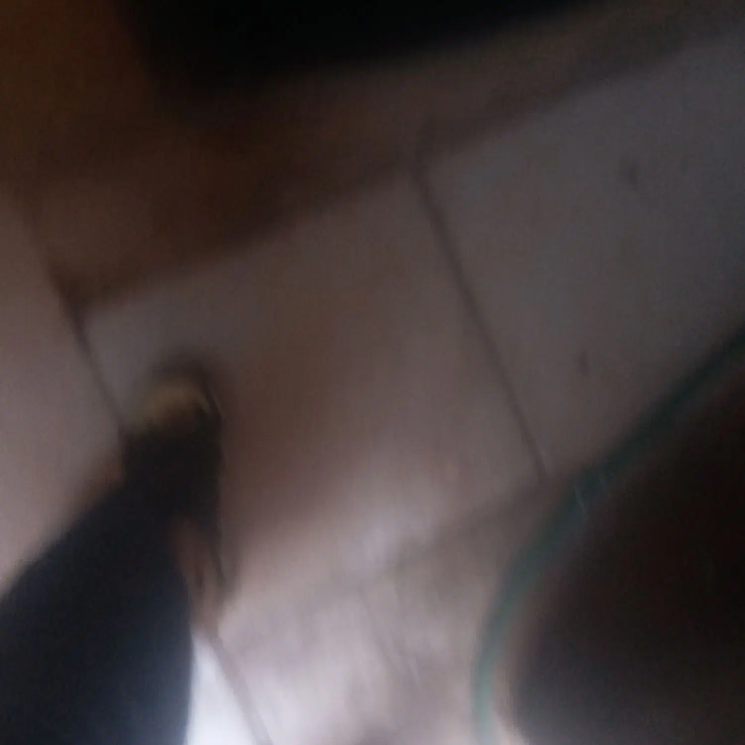 مگنت پراید کارباراتور|قطعات یدکی و لوازم جانبی|قم, شاه ابراهیم|دیوار