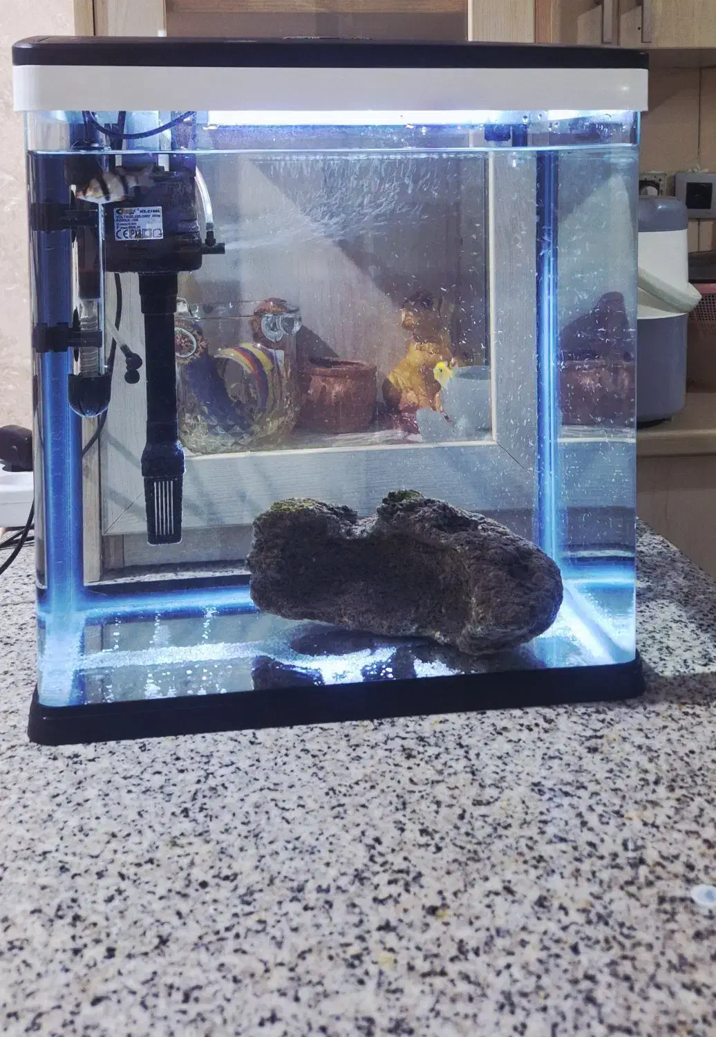 آکواریوم دلسا K390|ماهی|شیراز, دست خضر|دیوار