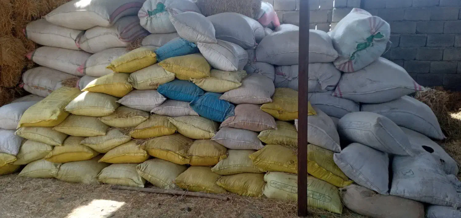 کاه‌یونجه‌خرد‌شده|خدمات باغبانی و درختکاری|جیرفت, |دیوار