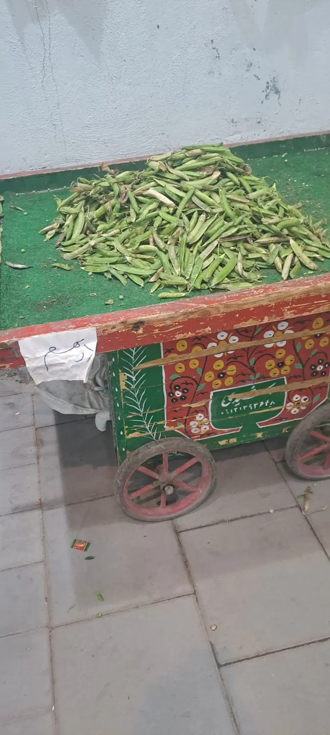گاری|فروشگاه و مغازه|شهر ری, اقدسیه|دیوار