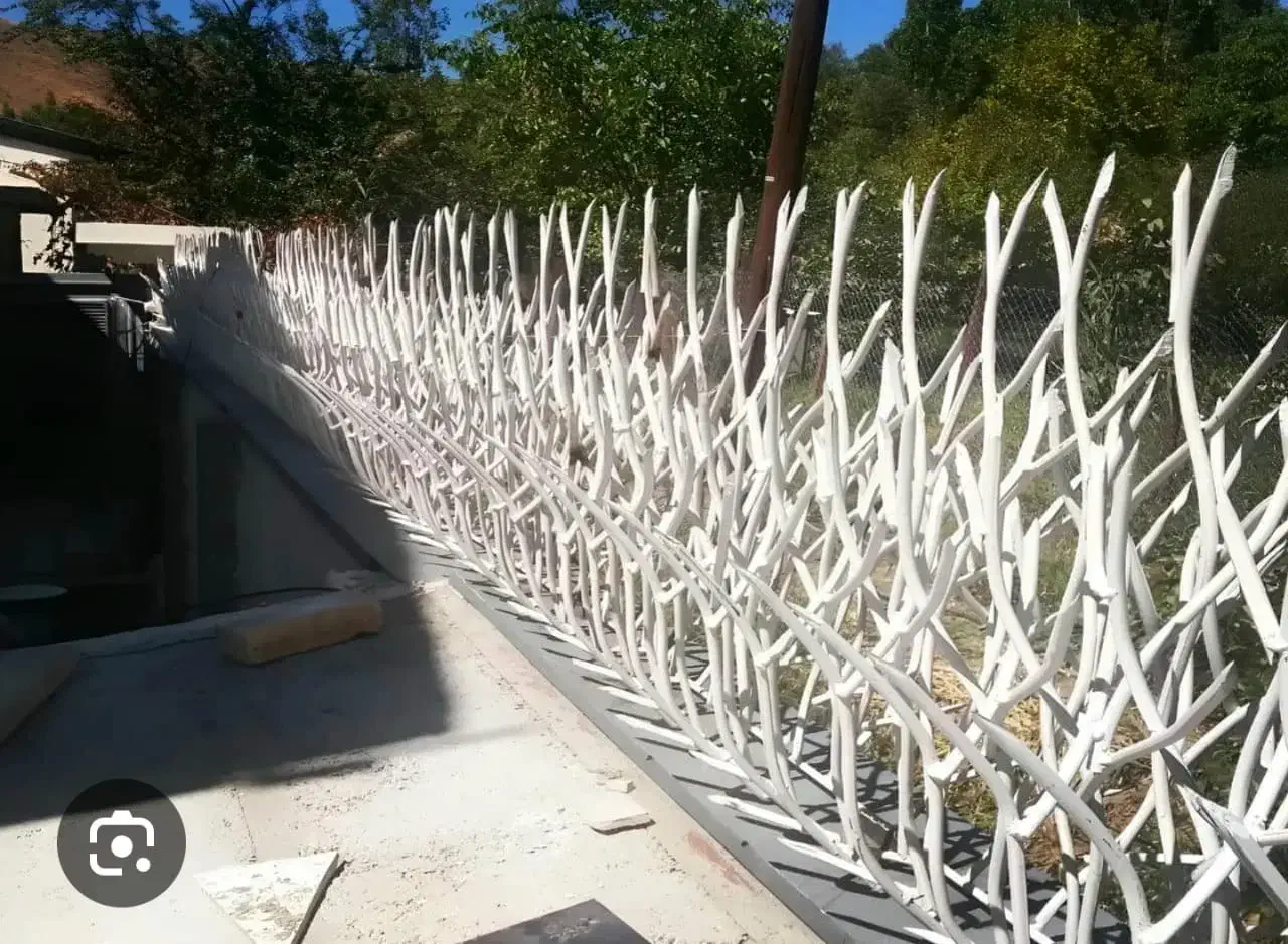 نرده شاخ گوزنی|خدمات پیشه و مهارت|تبریز, |دیوار