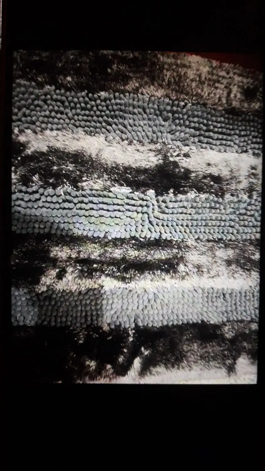 پادری های پشت پی وی سی|پادری|پاکدشت, پاکدشت (مامازند)|دیوار