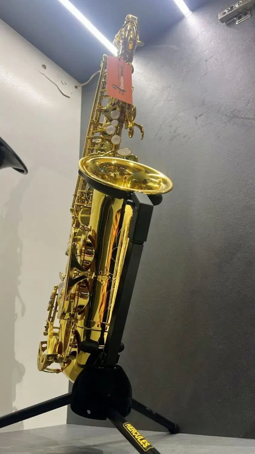 ساکسیفون آلتو سوزوکی طلائی|سازهای بادی|قزوین, |دیوار