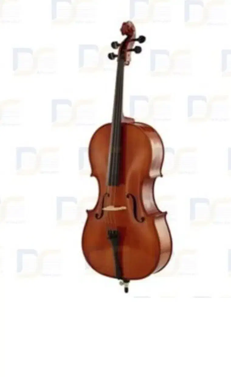 فروش انواع ویولن توسط مدرس+|ویولن|اصفهان, خرم|دیوار