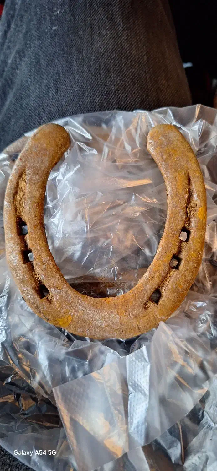 نعل اسب|اسب و تجهیزات اسبسواری|مسجد سلیمان, |دیوار