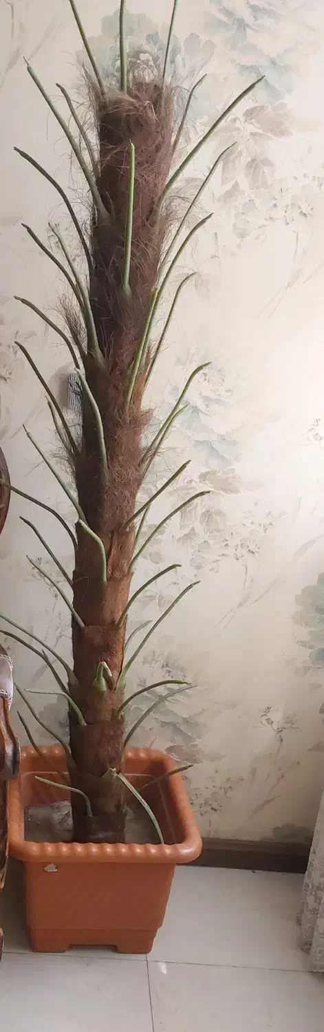 گلدان مصنوعی|گل مصنوعی|مشهد, آبکوه|دیوار