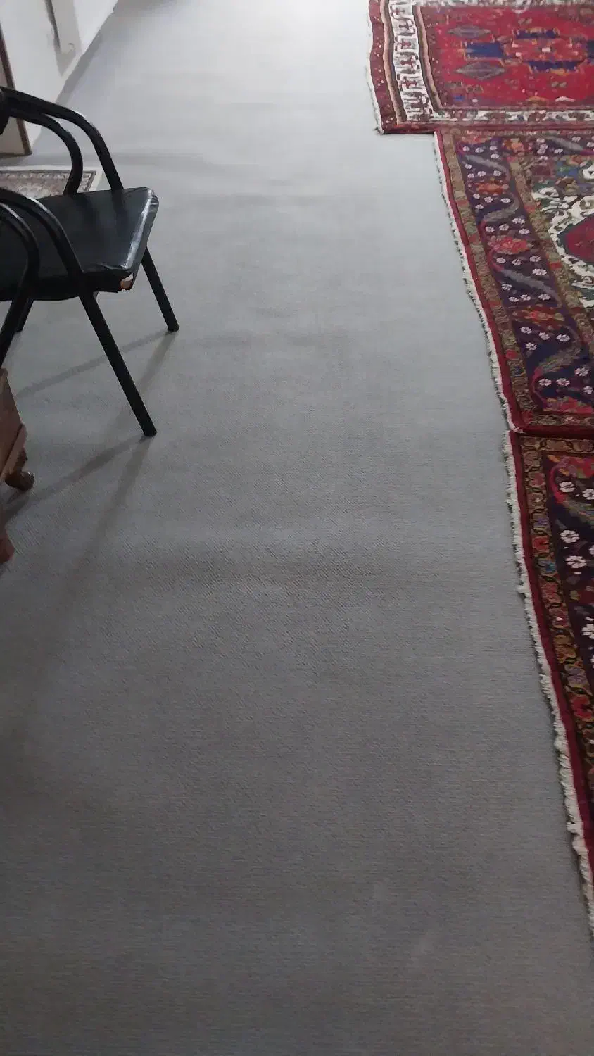 موکت|موکت|تبریز, |دیوار