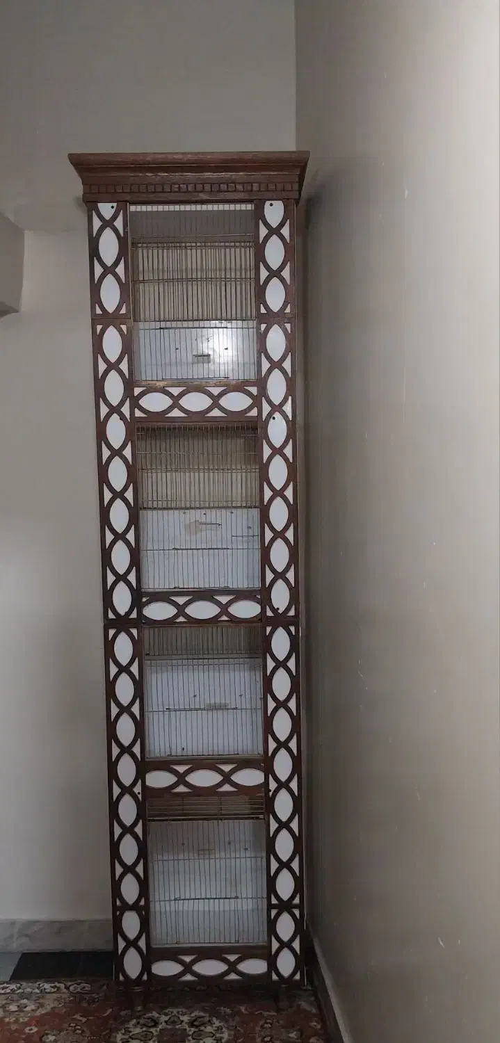 قفس|کتابخانه، شلف، قفسه‌های دیواری|تبریز, |دیوار