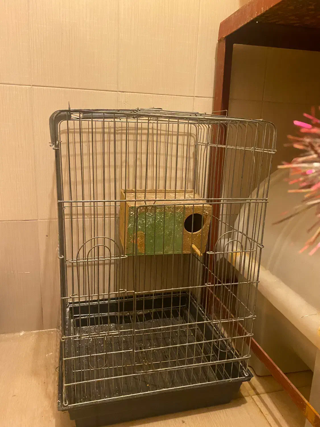 فروش قفس کاسکویی|لوازم جانبی حیوانات|سقز, |دیوار