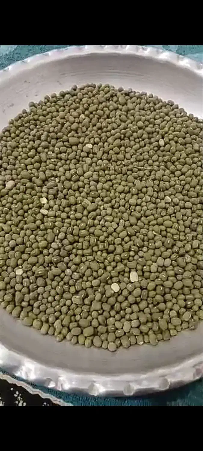 ماش سبز ودرشت وتمیز|خوردنی و آشامیدنی|بهمن صغاد, |دیوار