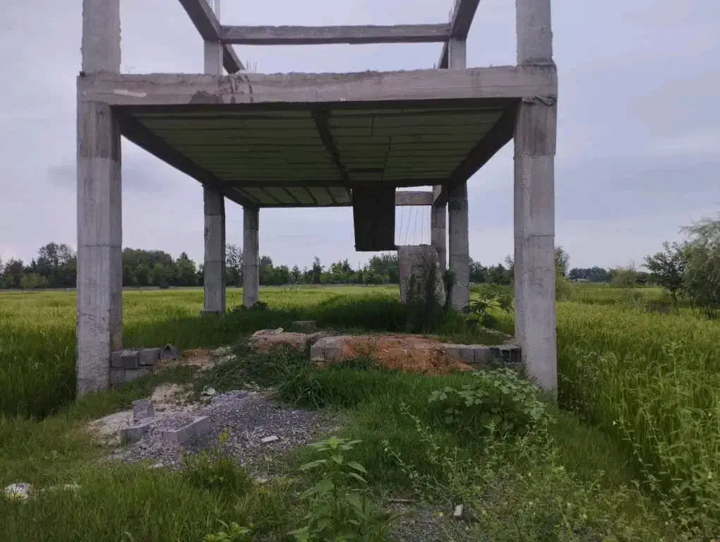 فروش فوری ۵۳۰ متری در بازکیاگوراب به دلیل مهاجرت|فروش زمین و ملک کلنگی|لاهیجان, بازکیاگوراب|دیوار