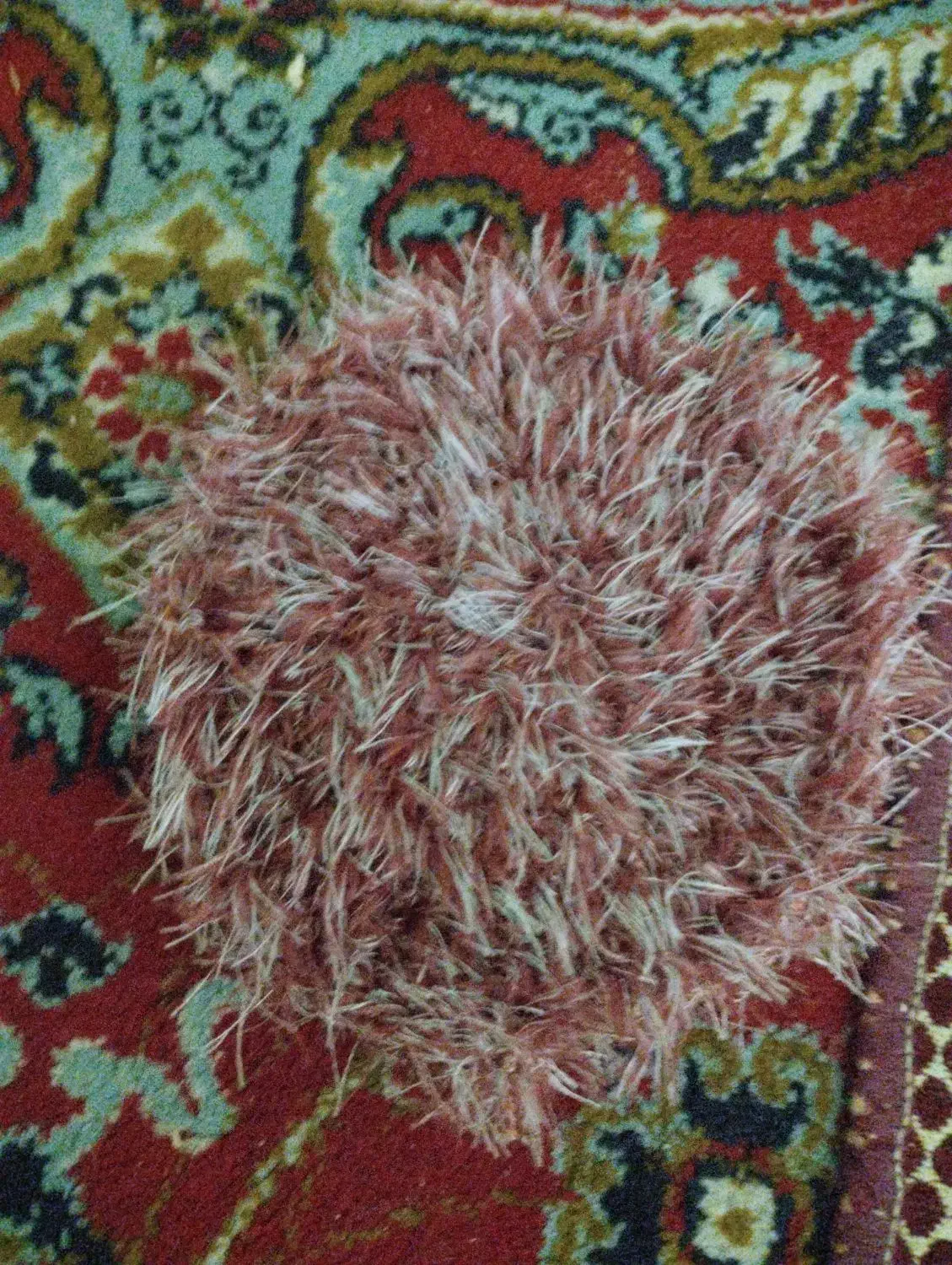 لیف واسکاج|لوازم حمام|اسدآباد, |دیوار