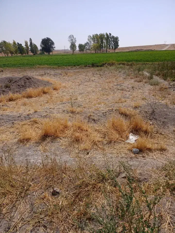 زمین فروش فوری|فروش زمین و ملک کلنگی|بستان آباد, |دیوار