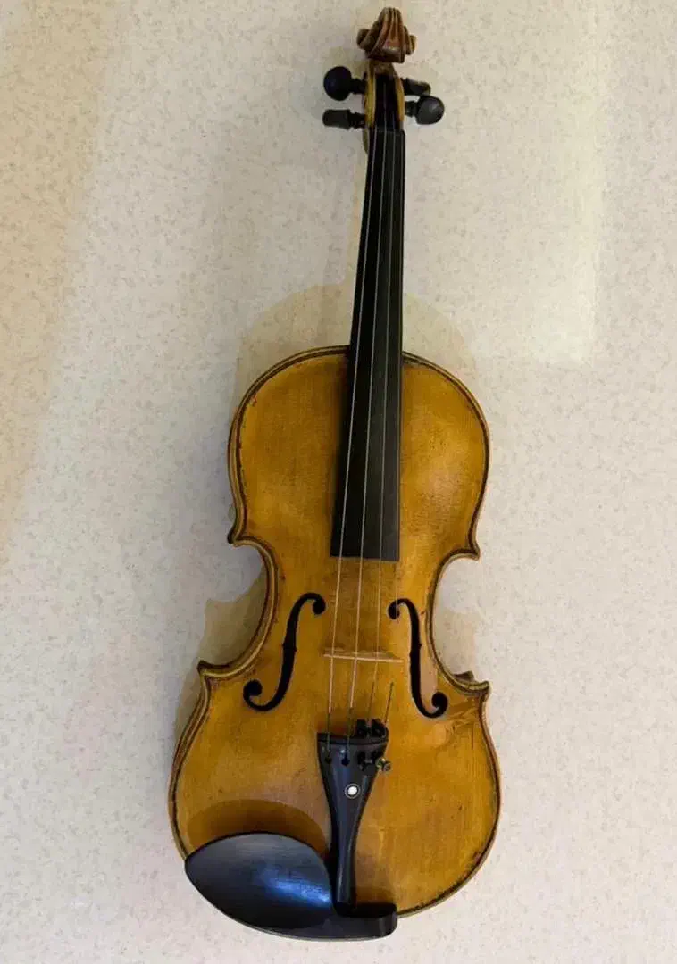 ویولن دست ساز ایتالیایی|ویولن|کرج, کارخانه قند|دیوار
