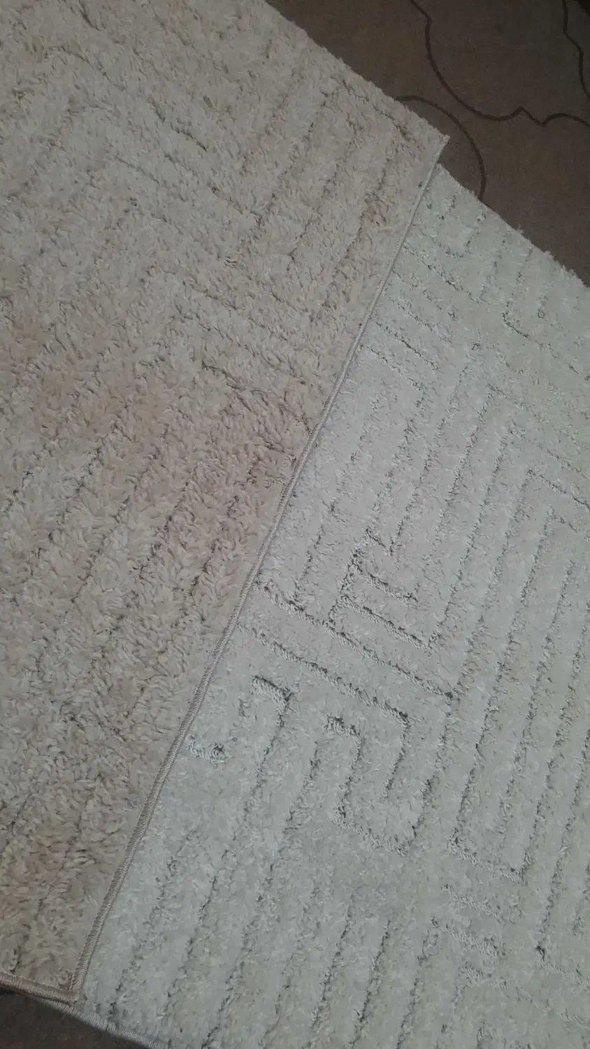 ۴ عدد پادری پشمالویی|پادری|خمینی‌شهر, |دیوار