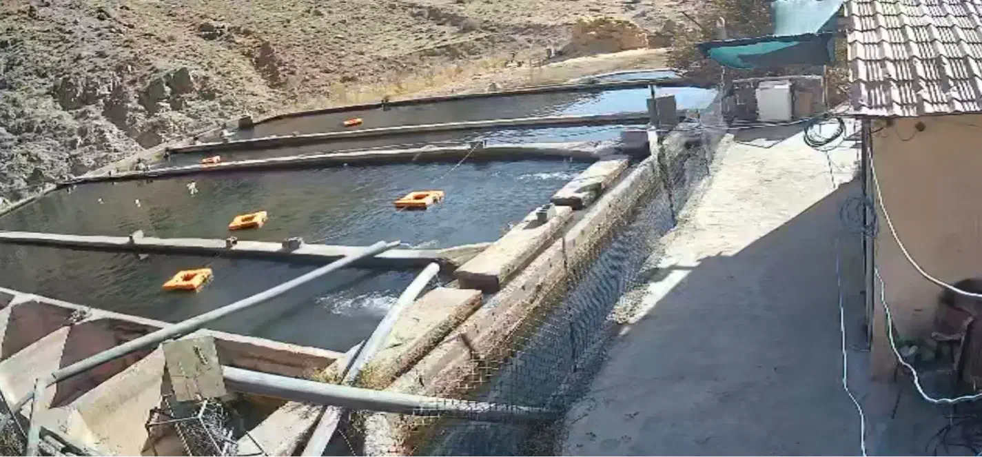 استخدام کارگر پروش ماهی با حقوق بالا|استخدام صنعتی، فنی، مهندسی|تربت جام, حافظ|دیوار