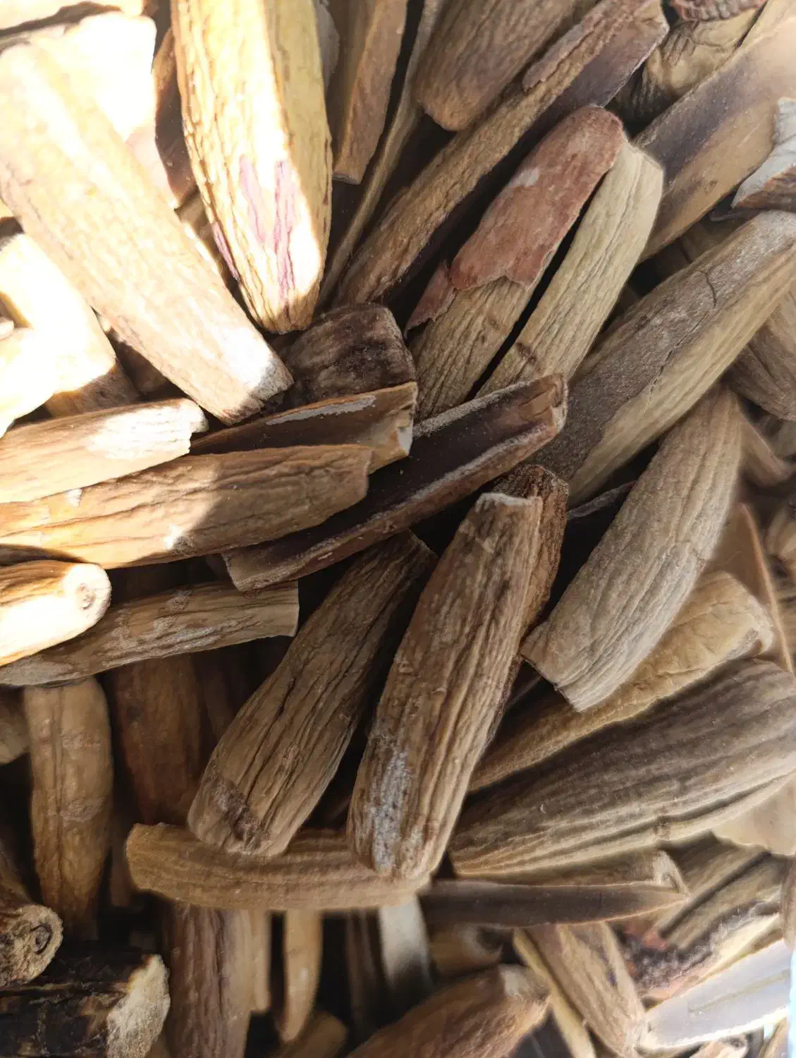 فروش بلوط، با پوست و بدون پوست|لوازم جانبی حیوانات|گچی, |دیوار