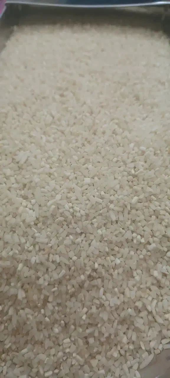 انواع برنج نیم دانه شمال و جنوب درجه یک|خوردنی و آشامیدنی|قم, شهرک امام حسین|دیوار