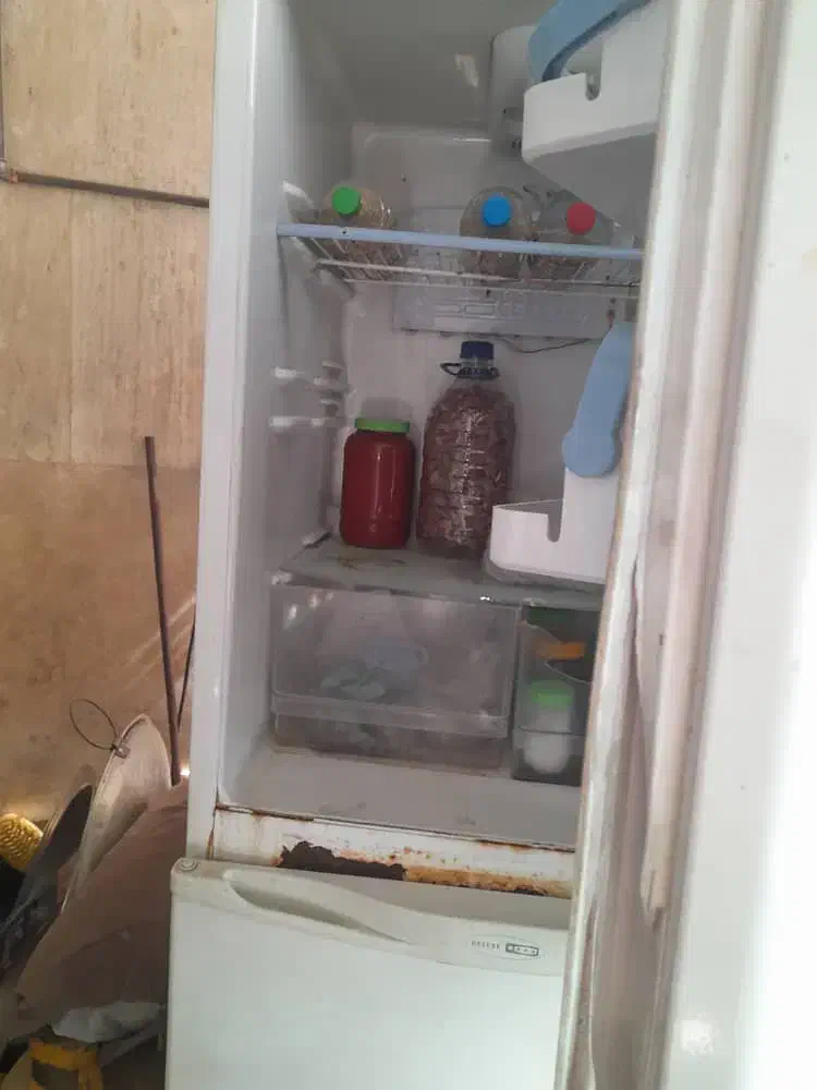 یخچال|یخچال و فریزر|شیراز, شاهچراغ|دیوار