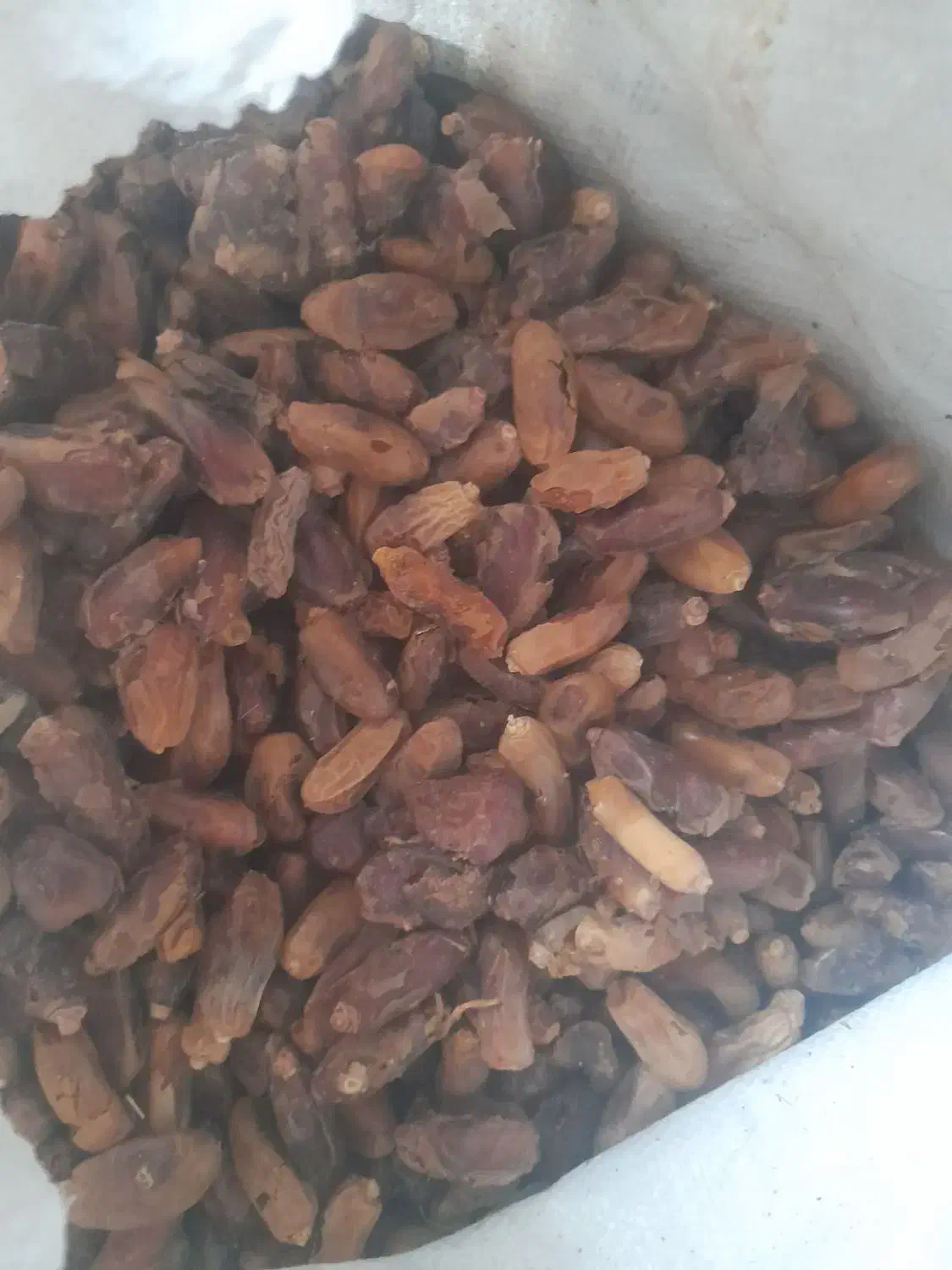 خرما|خوردنی و آشامیدنی|جنت, |دیوار