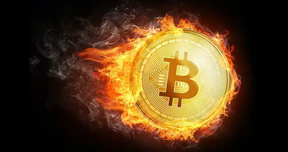 ارز دیجیتال|خدمات آموزشی|زنجان, |دیوار