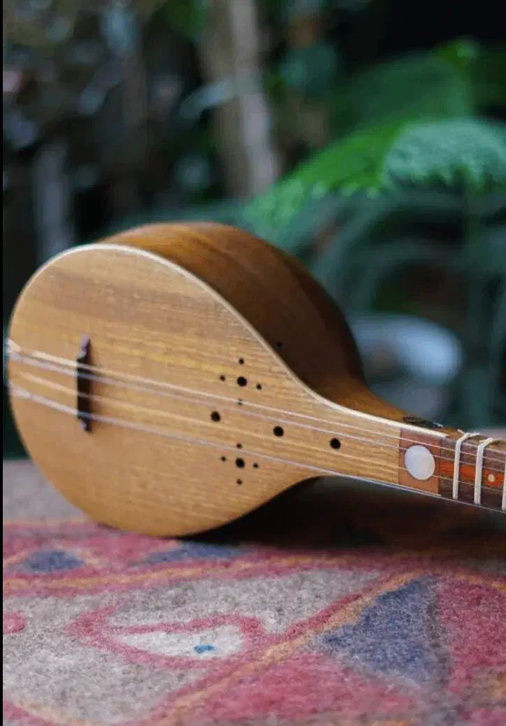 آموزش تخصصی سه تار توسط مدرس خانم|خدمات آموزشی|اهواز, شهرک نفت|دیوار