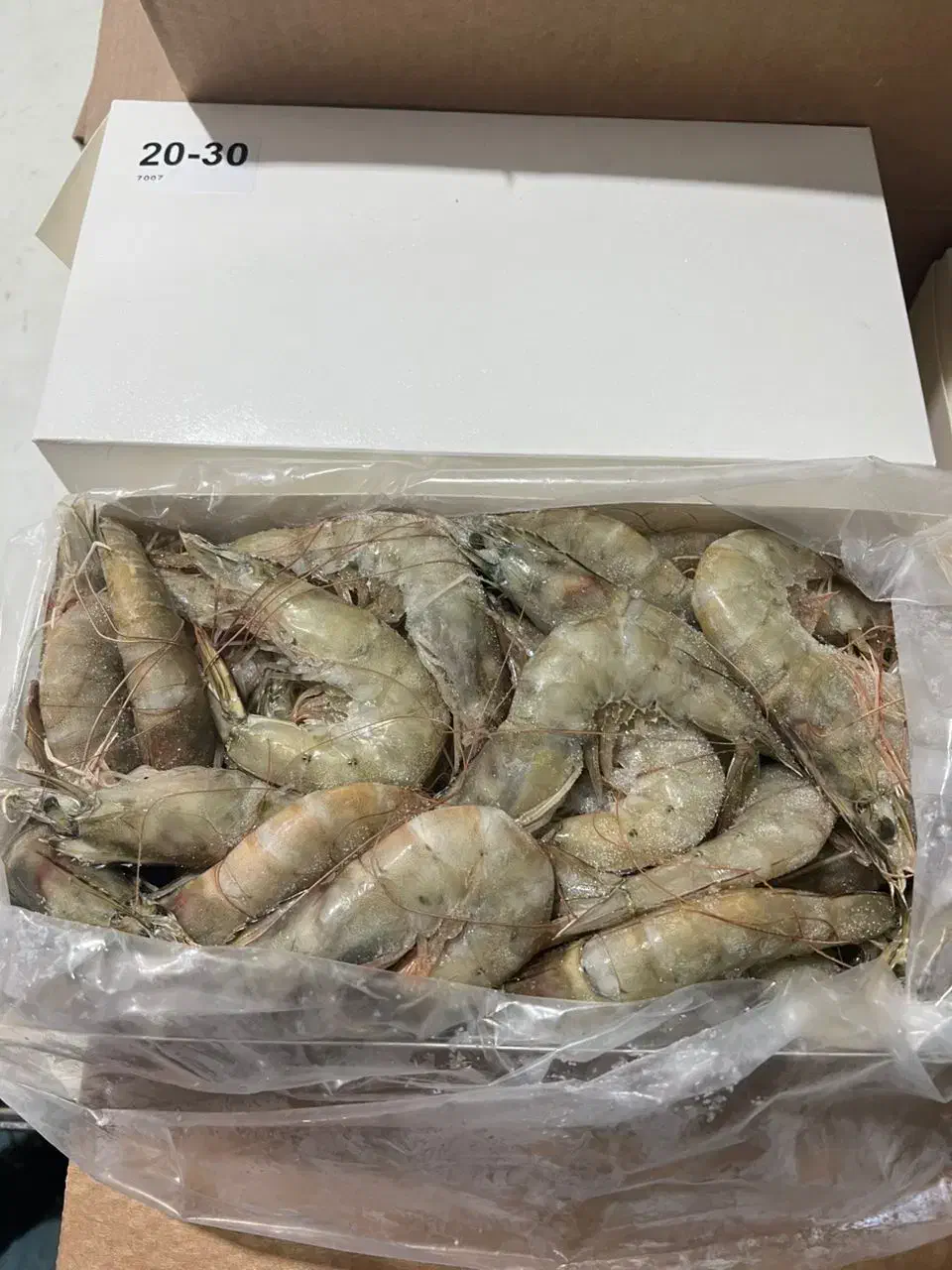 میگو باسر پرورشی|عمده‌فروشی|تهران, حر|دیوار