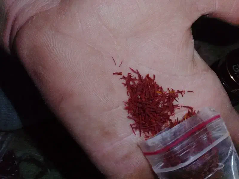 نگین زعفران سوپر ممتاز اصل کشت امسال|خوردنی و آشامیدنی|تاکستان, |دیوار