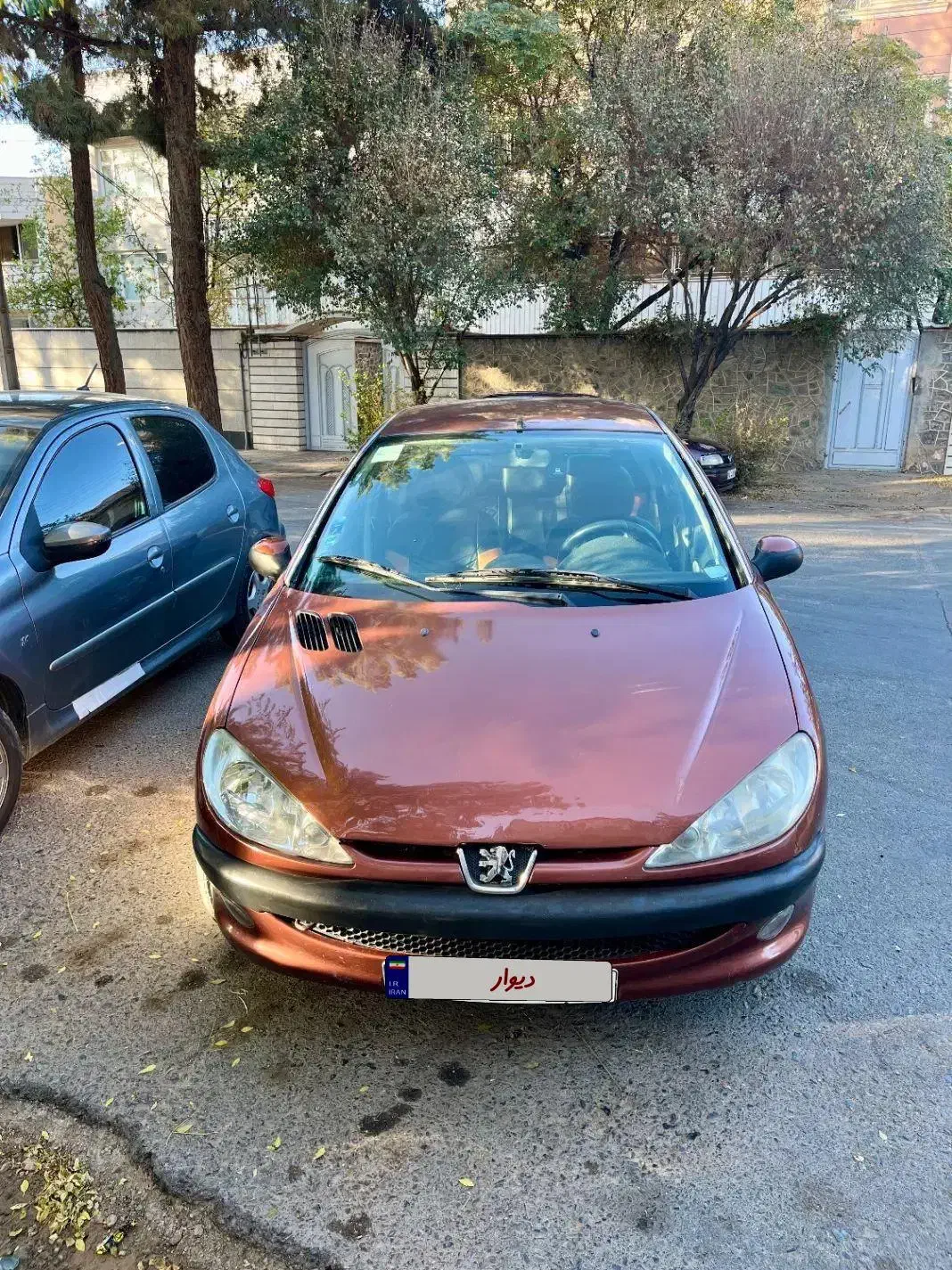 206sd v8|خودرو سواری و وانت|بیرجند, |دیوار