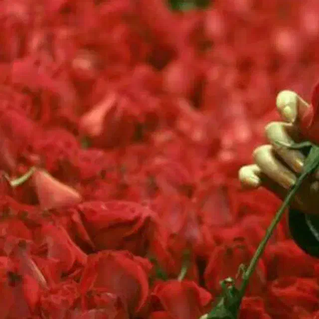 دعوت به همکاری در کلینیک ترک اعتیاد|استخدام درمانی، زیبایی، بهداشتی|شیراز, زند|دیوار