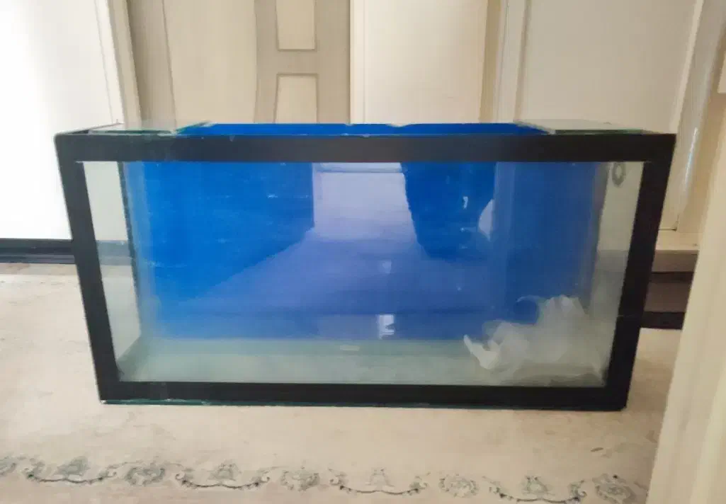 آکواریوم شیشهای|ماهیگیری|ری, حمزهآباد|دیوار