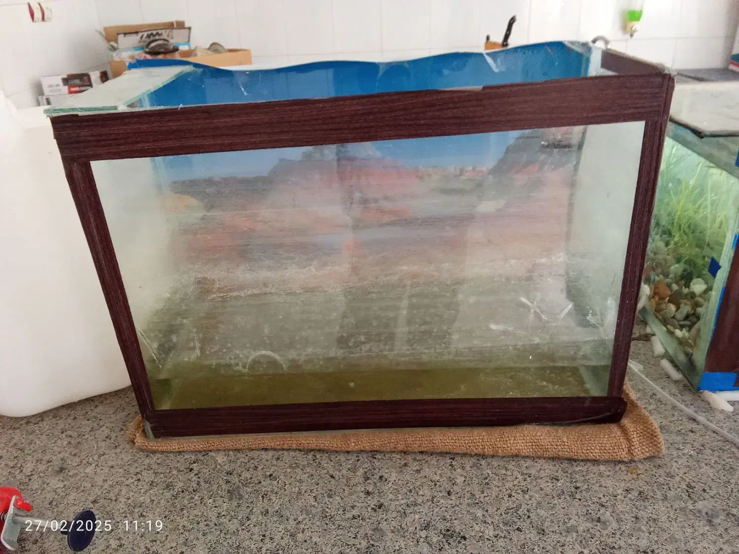 آکواریوم|ماهی|فلاورجان, |دیوار