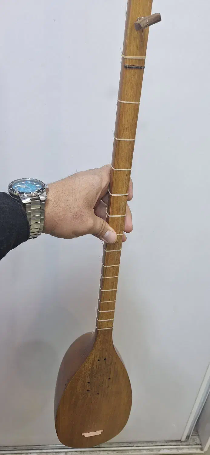 تنبور کاسه ای|سازهای سنتی|کرمانشاه, |دیوار