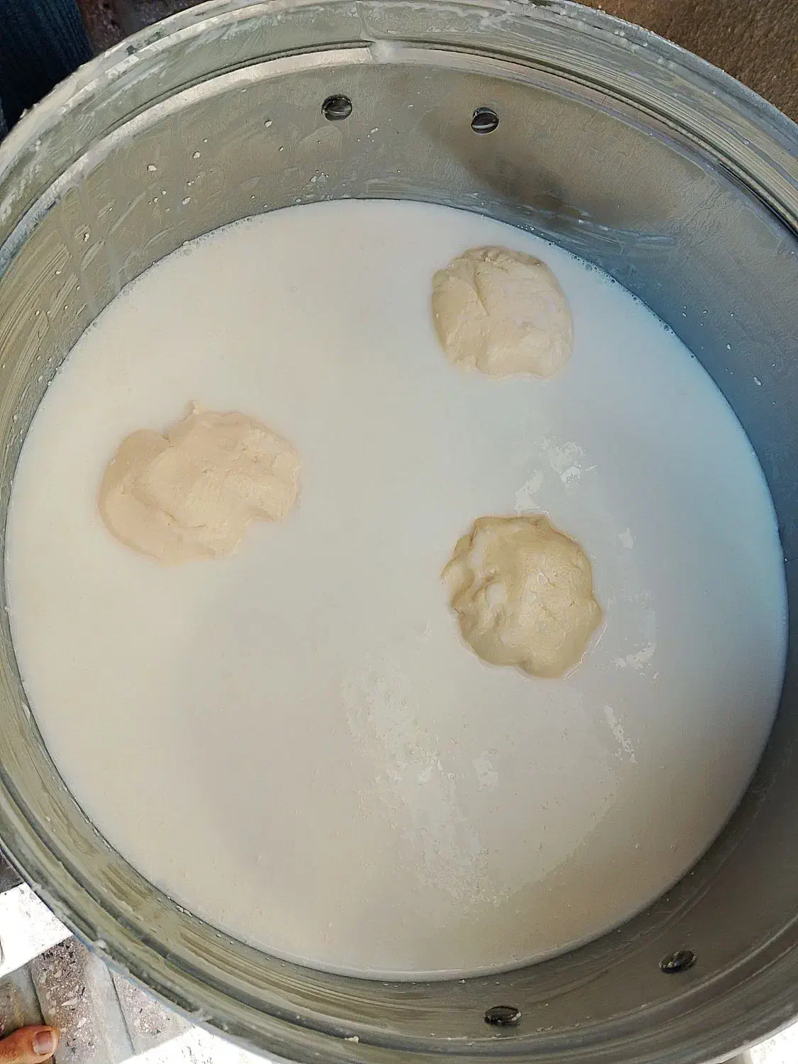 لبنیات محلی|خوردنی و آشامیدنی|هرسین, |دیوار