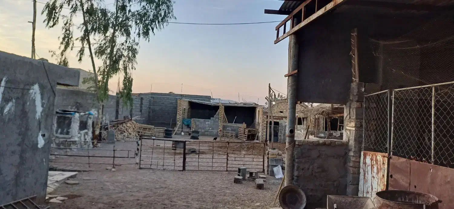 فروش دامداری|فروش خانه و ویلا|کویرات, |دیوار