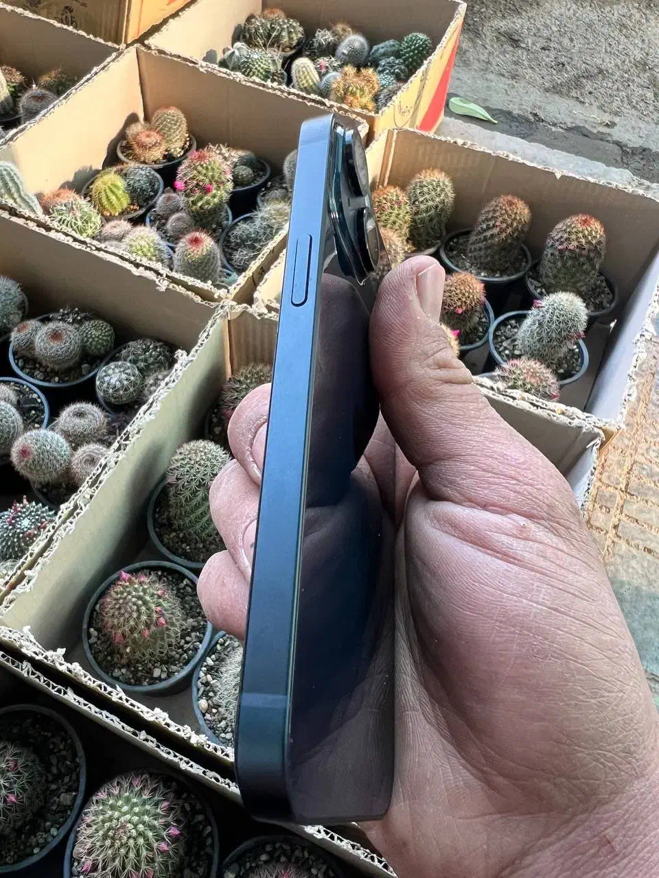 ایفون ۱۴|موبایل|ری, بازار گل خاوران|دیوار