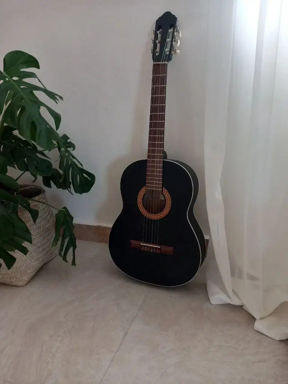 گیتار نو|گیتار، بیس، امپلیفایر|رشت, شالکو|دیوار