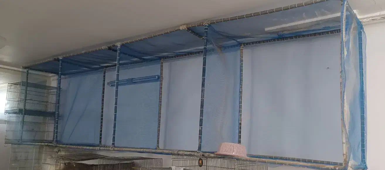 اینتکس ماهی|ماهی|یزد, |دیوار