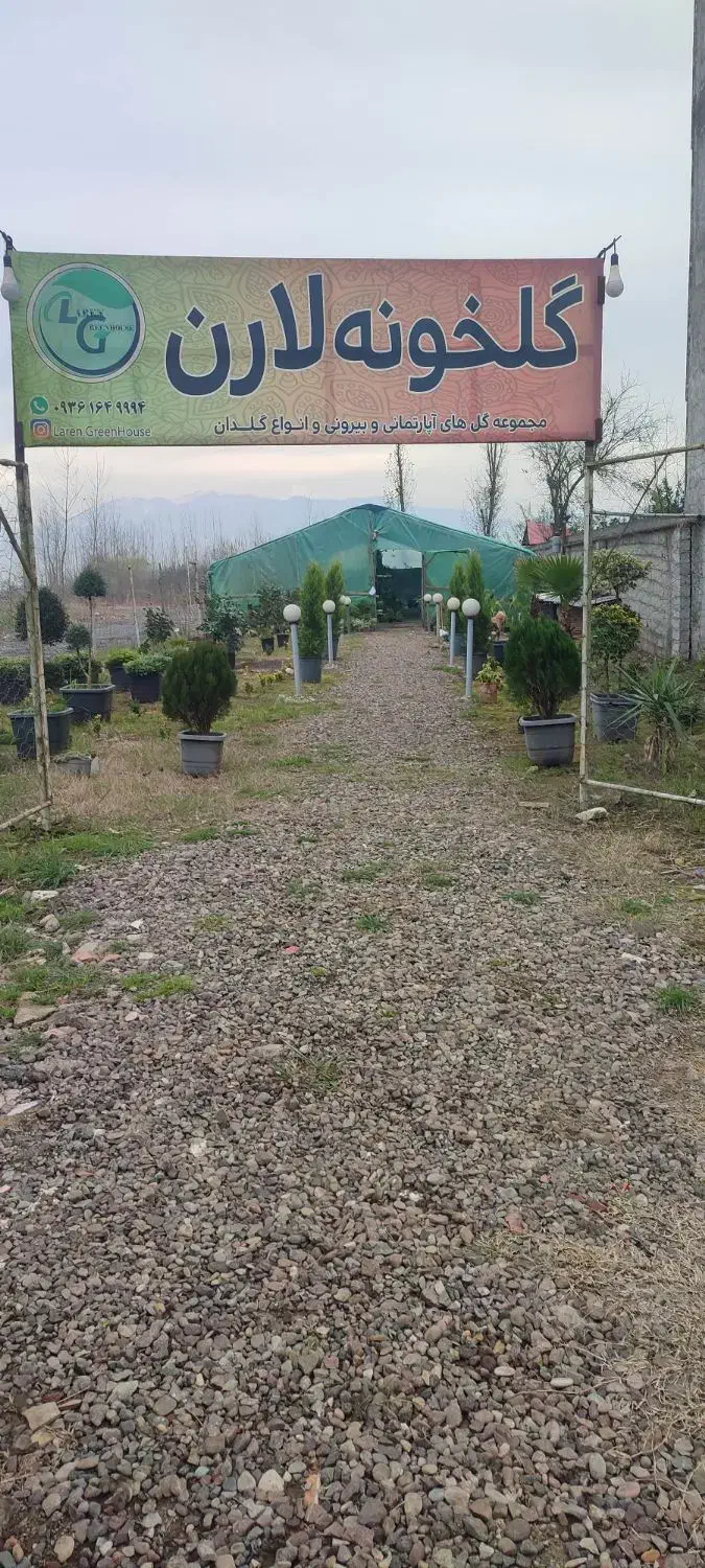 زمین فول امکانات|فروش زمین و ملک کلنگی|لنگرود, |دیوار